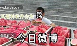 最新吃瓜爆料合集,揭秘明星幕后故事