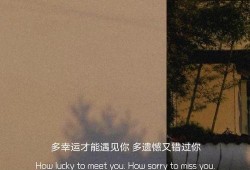 最新情感文案真实爆料,感人至深的情感告白