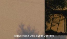最新情感文案真实爆料,感人至深的情感告白