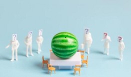 最新吃瓜爆料合集,揭秘明星幕后故事