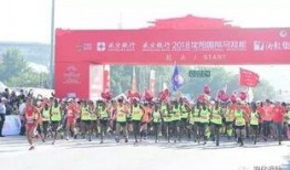 沈阳马拉松爆料最新消息,精彩瞬间与赛事亮点速览
