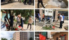 龙湖新溪爆料最新消息今天,最新爆料揭示惊人真相！”