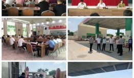 龙湖新溪爆料最新消息今天,最新爆料揭示惊人真相！”