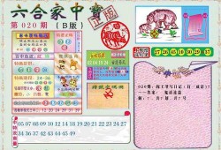 六合家中宝a最新爆料,揭秘神秘家族传承之谜