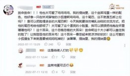 原神外网最新爆料,神秘新角色登场，游戏剧情将迎来重大转折！